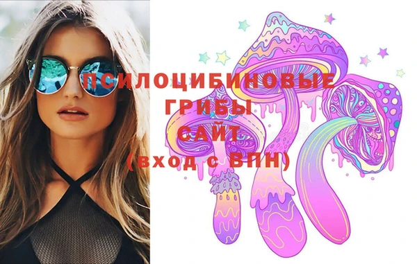 гашик Медвежьегорск