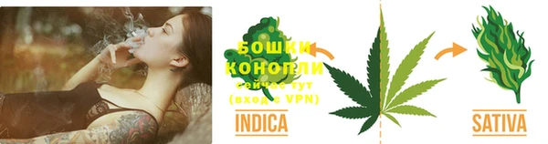гашик Медвежьегорск