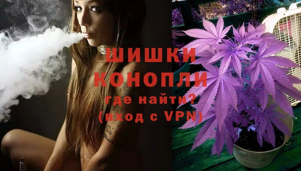 гашик Медвежьегорск