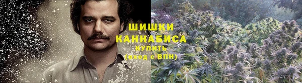 spice Магадан