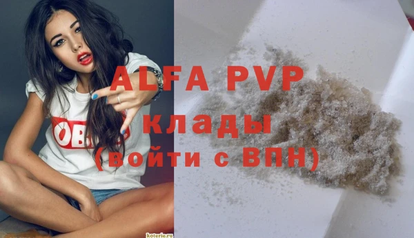 spice Магадан