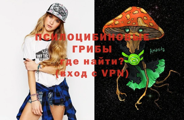 гашик Медвежьегорск