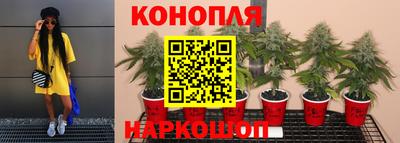 меф Аргун