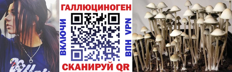 mega зеркало  Мыски  Галлюциногенные грибы прущие грибы 