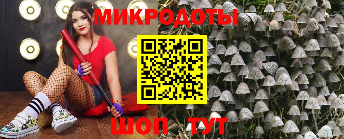 Псилоцибиновые грибы MAGIC MUSHROOMS Мыски