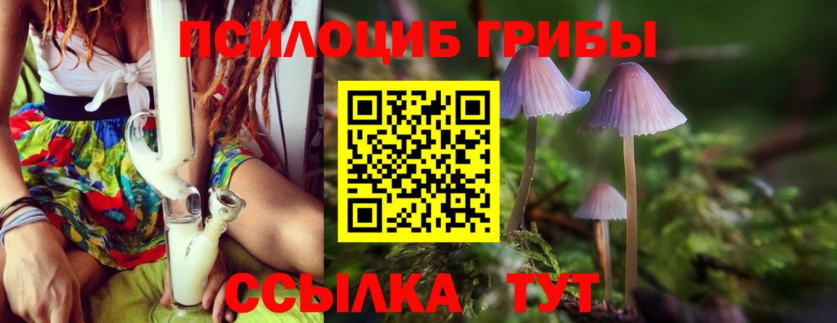 Псилоцибиновые грибы Psilocybine cubensis  Вход с VPN  Мыски 