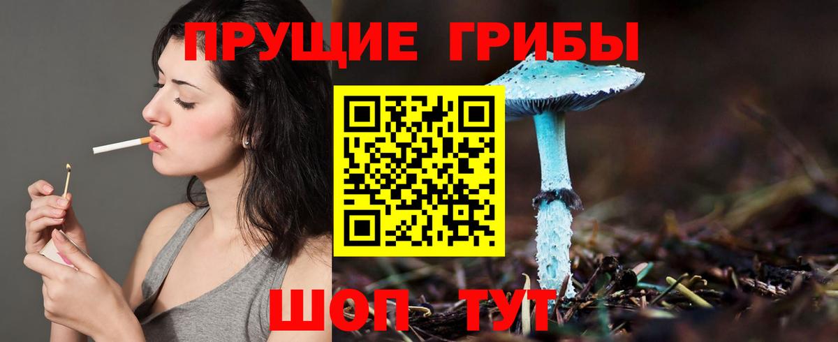 Галлюциногенные грибы мицелий  как найти закладки  Мыски  Псилоцибиновые грибы мицелий 