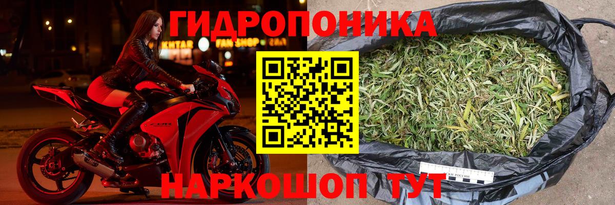 Бошки Шишки VHQ Мыски
